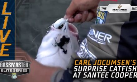 Bassmaster – Carl catches a big catfish at Santee Cooper