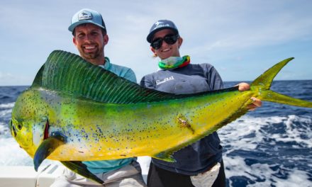 BlacktipH – Deep Sea Fishing in Miami (Dolphin, Wahoo, Amberjacks, and Tripletail)