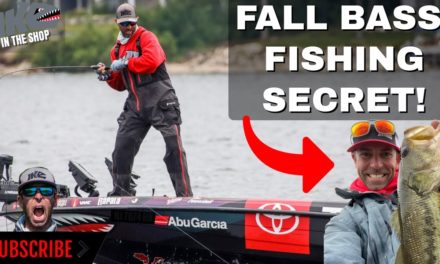 Mike Iaconelli Secret Tips & Tactics – Fall Bass Fishing SECRET!