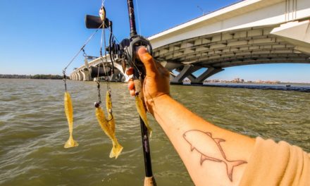 Lawson Lindsey – Fishing a Giant Urban River (Biggest Bridge I've Ever Fished)