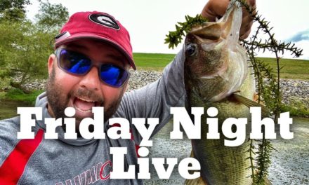 FlukeMaster – Friday Night Live