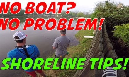 Helpful tips on how to catch bass from shore on public lakes and ponds!