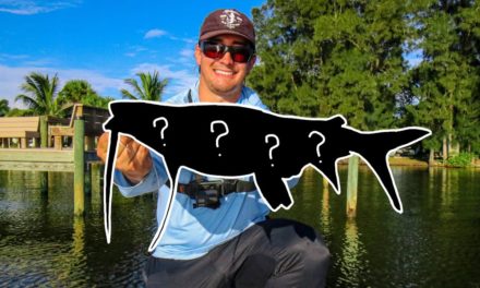 Lawson Lindsey – I Can't Believe We Caught a Giant One of These!