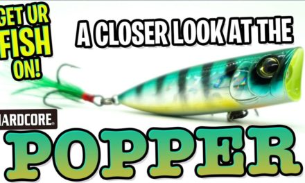Next Generation of NEW Topwater Bass Fishing Lures? Hardcore Popper!
