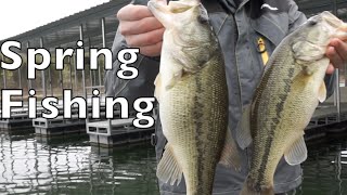 Spring Time Bass Fishing On Table Rock Lake