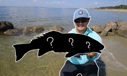 Lawson Lindsey – Surf Fishing With Live Mullet Catches a Stud in New Waters!