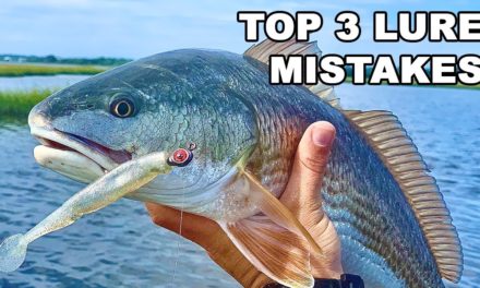Salt Strong | – Top 3 Artificial Lure Mistakes