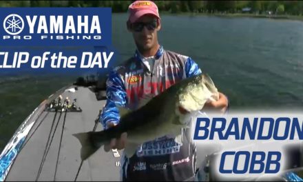 Bassmaster – Yamaha Clip of the Day – Brandon Cobb's kicker on Day 2