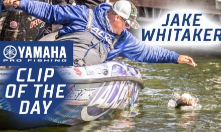 Bassmaster – Yamaha Clip of the Day – Whitaker's late-day rally