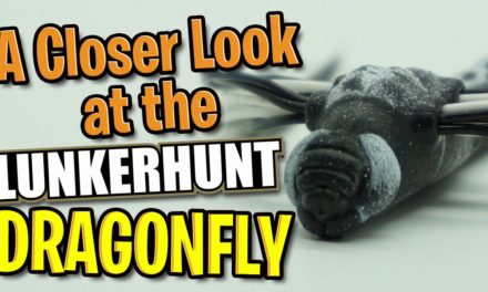 A Closer Look at the Lunkerhunt Dragonfly – Topwater Largemouth Bass Fishing Lure Bait