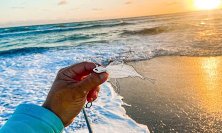 Lawson Lindsey – BEST Lures For Catching a LOT of Saltwater Fish While Beach Fishing!