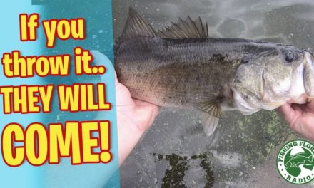 Bass FIshing – Turns into a BLAST from the past!