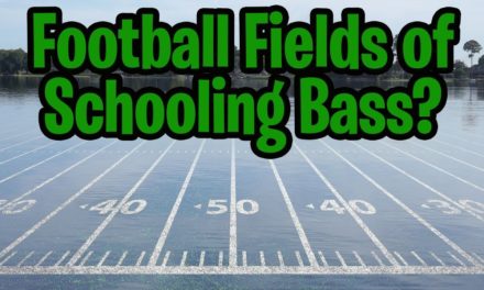 Football Fields of Schooling Bass – Orlando Bass Fishing – Topwater Fishing Action