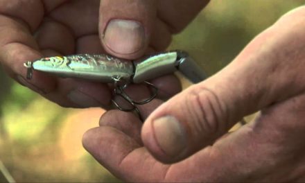 How to Choose a Bass Lure
