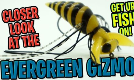 Is the Evergreen Gizmo the BEST Dragonfly Bug Bass Fishing Lure?