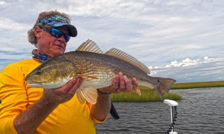 Louisiana Redfish Fishing Inshore on Lake Borgne
