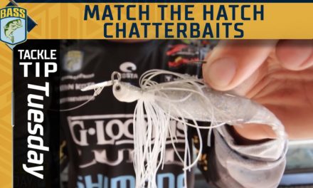 Bassmaster – Matching the hatch with a chatterbait this fall