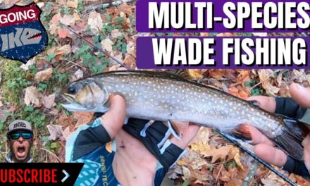Mike Iaconelli Secret Tips & Tactics – Multi-Species WADE FISHING!