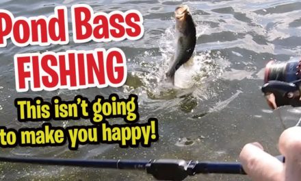 Swimbait Pond Bass Fishing – Cyberfishing Smart Rod Sensor – Central Florida Bass