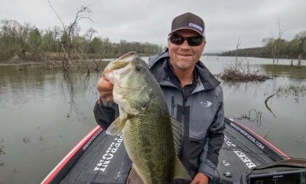 Tackle Warehouse Double Down | Clausen's Must-Haves for the Spawn