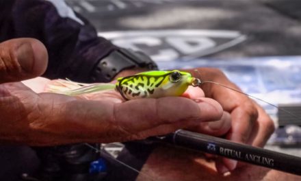 Tackle Warehouse Double Down | Jared Lintner's Go-To Baits
