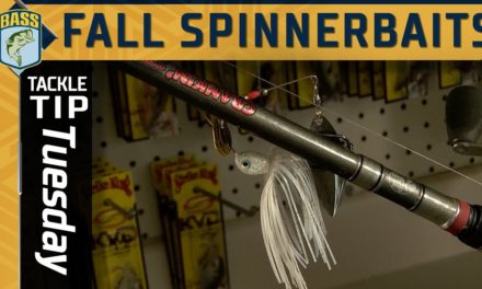 Bassmaster – Why Clark Wendlandt uses a spinnerbait in the late fall, early winter