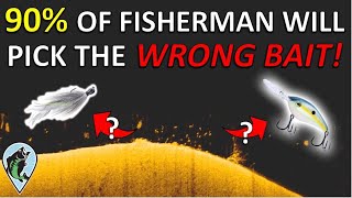 Why You Can't Catch Bass You See on Your Fish Finder | Shallow Vs. Offshore Challenge