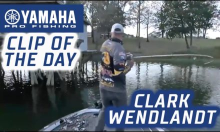 Bassmaster – Yamaha Clip of the Day: Wendlandt's AOY winning fish