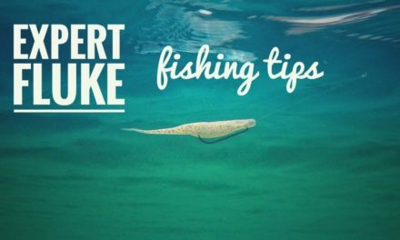 3 Must-Know Fluke Rigging and Fishing Tips