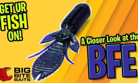 BEST FLIPPING BASS BAIT EVER?? Closer Look at theBig Bite Baits BFE