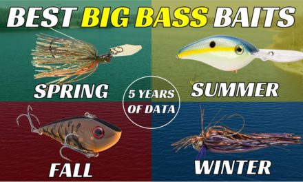 Best Lures for Big Bass Backed By 5 Years Of Data | All Seasons Explained
