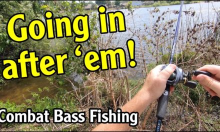 Combat Bass Fishing – Going In After 'Em!