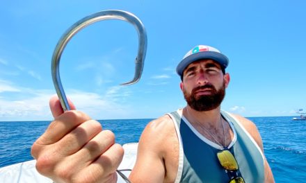 BlacktipH – Dude Perfect VS Giant Groupers