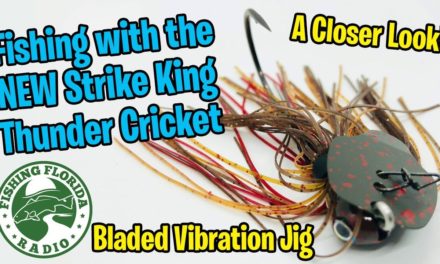 Fishing, Underwater Footage, and a Closer Look at the Strike King Thunder Cricket