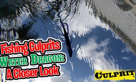 Fishing the CULPRIT WATER DRAGON – A Closer Look! Underwater & Overhead Shots