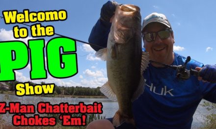 GIANT BASS with Z-Man Chatterbait and CRUSHING 'EM!!!