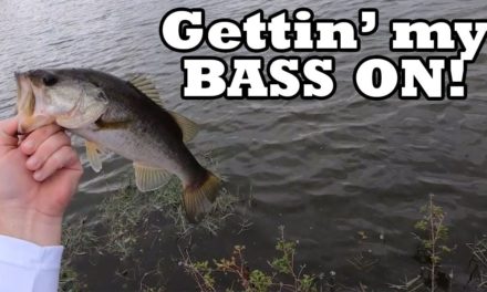 Gettin' my FISH ON – Bass Fishing – Z-Man Chatterbait DOES IT AGAIN!