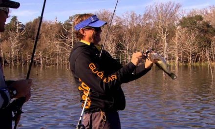 How To Guide On Winter to Spring Bass Fishing with special gusts James Niggemeyer, Clark Wendlandt
