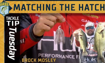 Bassmaster – Matching the hatch as fish move from fall to winter (Bassmaster Pro Brock Mosley's advice)