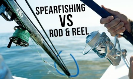 BlacktipH – Spearfishing VS Rod & Reel