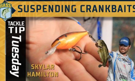 Bassmaster – Suspending crankbaits with hook size (Great for Cold water bass)