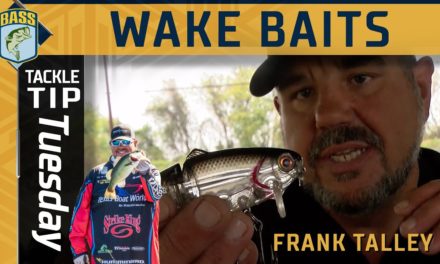 Bassmaster – Talley trusts Wake Baits when bass shy from Topwater