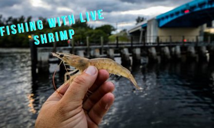 Lawson Lindsey – The Easiest Way to Catch Dinner! {Catch & Cook}