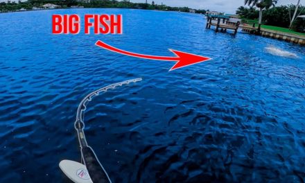 Lawson Lindsey – This Eat Was INSANE! Topwater Saves the Day Post Cold Front