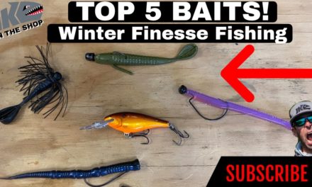 Mike Iaconelli Secret Tips & Tactics – Top 5 Bait for Winter Finesse Fishing!