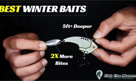 Top Winter Baits on Deep, Clear Lakes | Modifications, Setups, Conditions