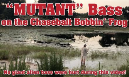 "Mutant" Bass caught on the Chasebait Bobbin' Frog – Black Largemouth Bass