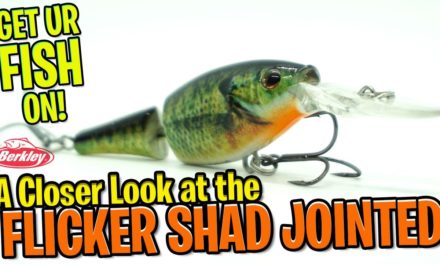 Closer Look at the Berkley Fishing Flicker Shad Jointed Crankbait