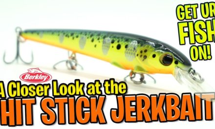 Closer Look at the Berkley Hit Stick Suspending Bass Fishing Jerkbait