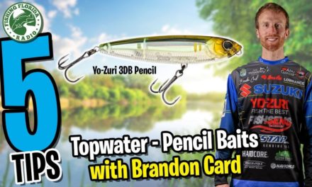 Fishing Florida Radio's Five Tips with BRANDON CARD on Topwater Pencil Baits